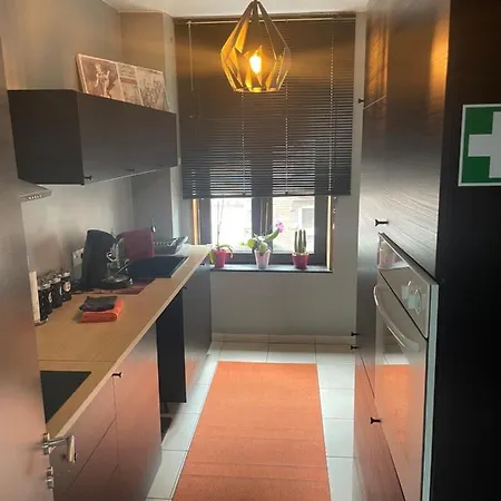 Duplex - La Namuroise Apartment